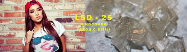 PSILOCYBIN Вязьма