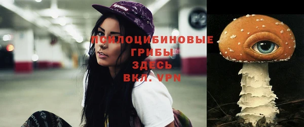 дмт Слюдянка