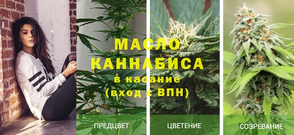 PSILOCYBIN Вязьма