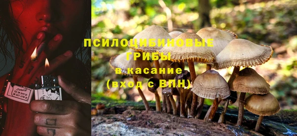 гидра Волосово