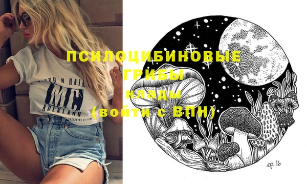 PSILOCYBIN Вязьма