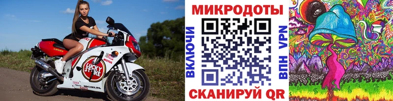 mega tor  Зеленоградск  Галлюциногенные грибы GOLDEN TEACHER  продажа наркотиков 